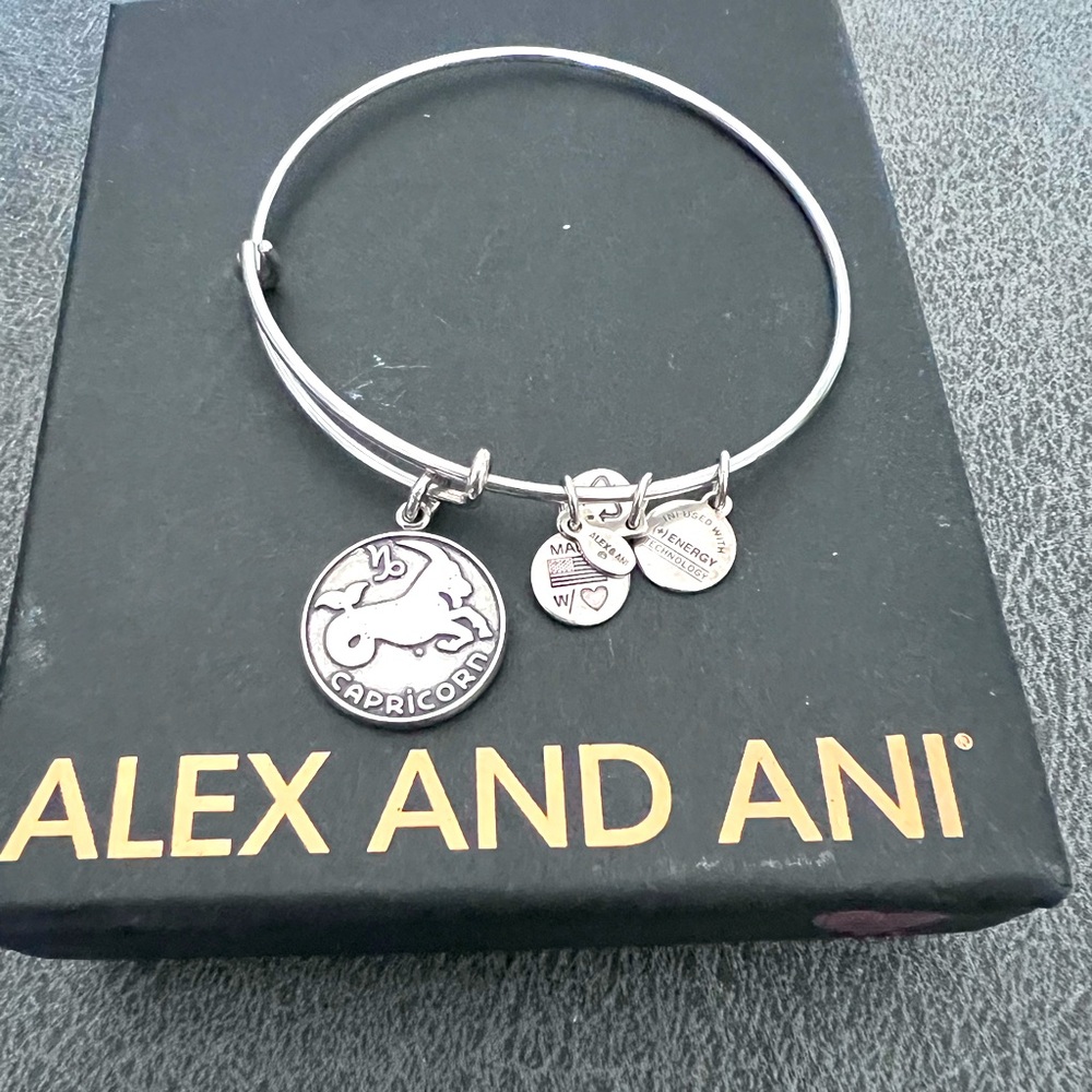 Silver Capricorn Alex and Ani Bracelet